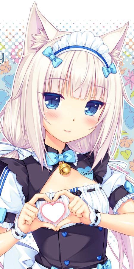 nekopara h|Nekopara